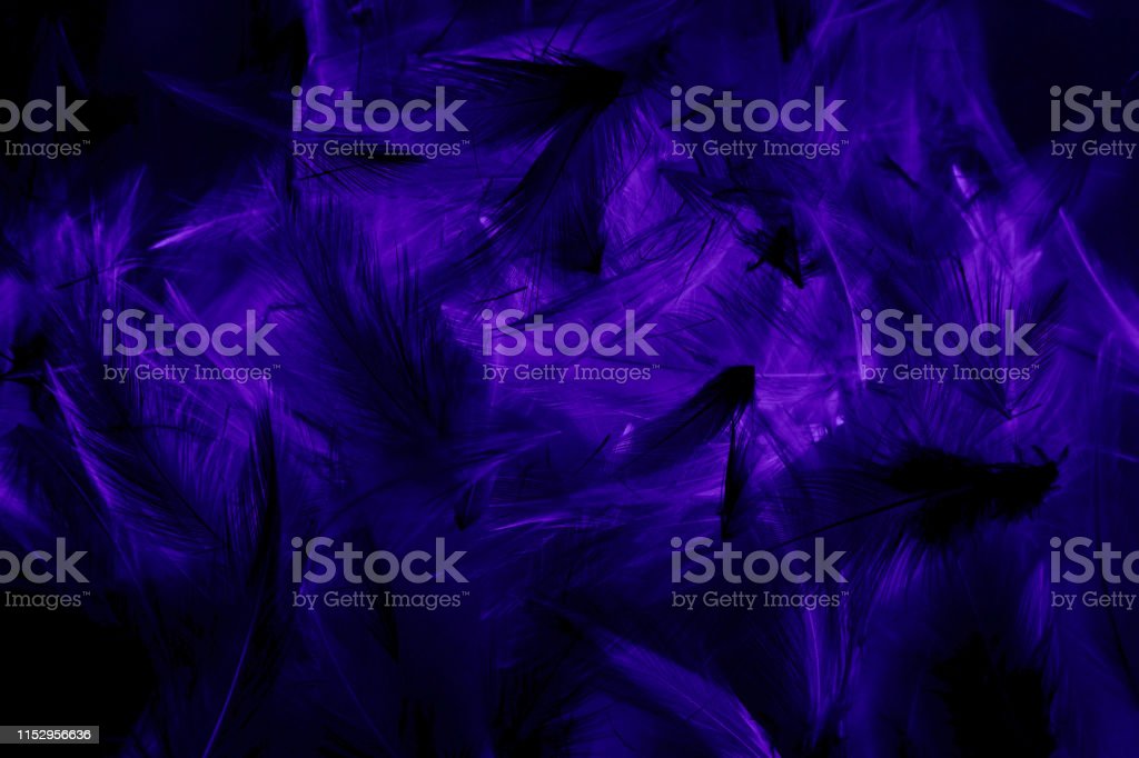Detail Background Warna Ungu Abstrak Nomer 34