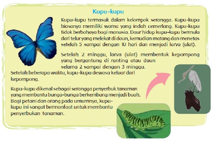 Detail Buku Kelas 4 Sd Tema 3 Nomer 43