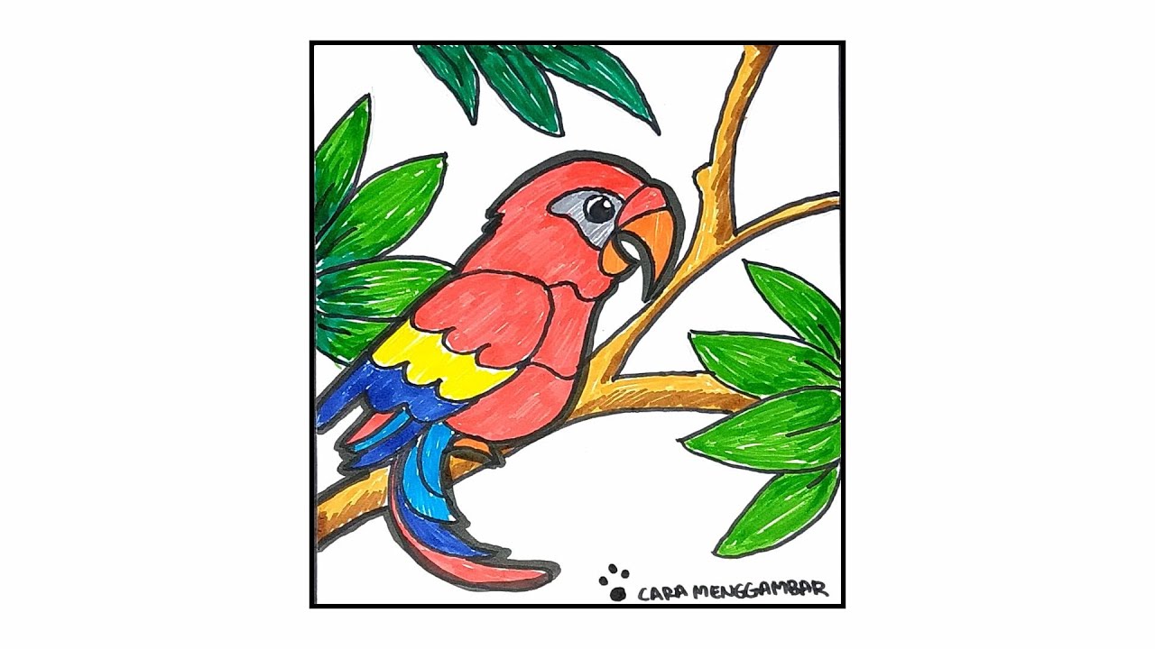 Detail Burung Scarlet Macaw Nomer 26