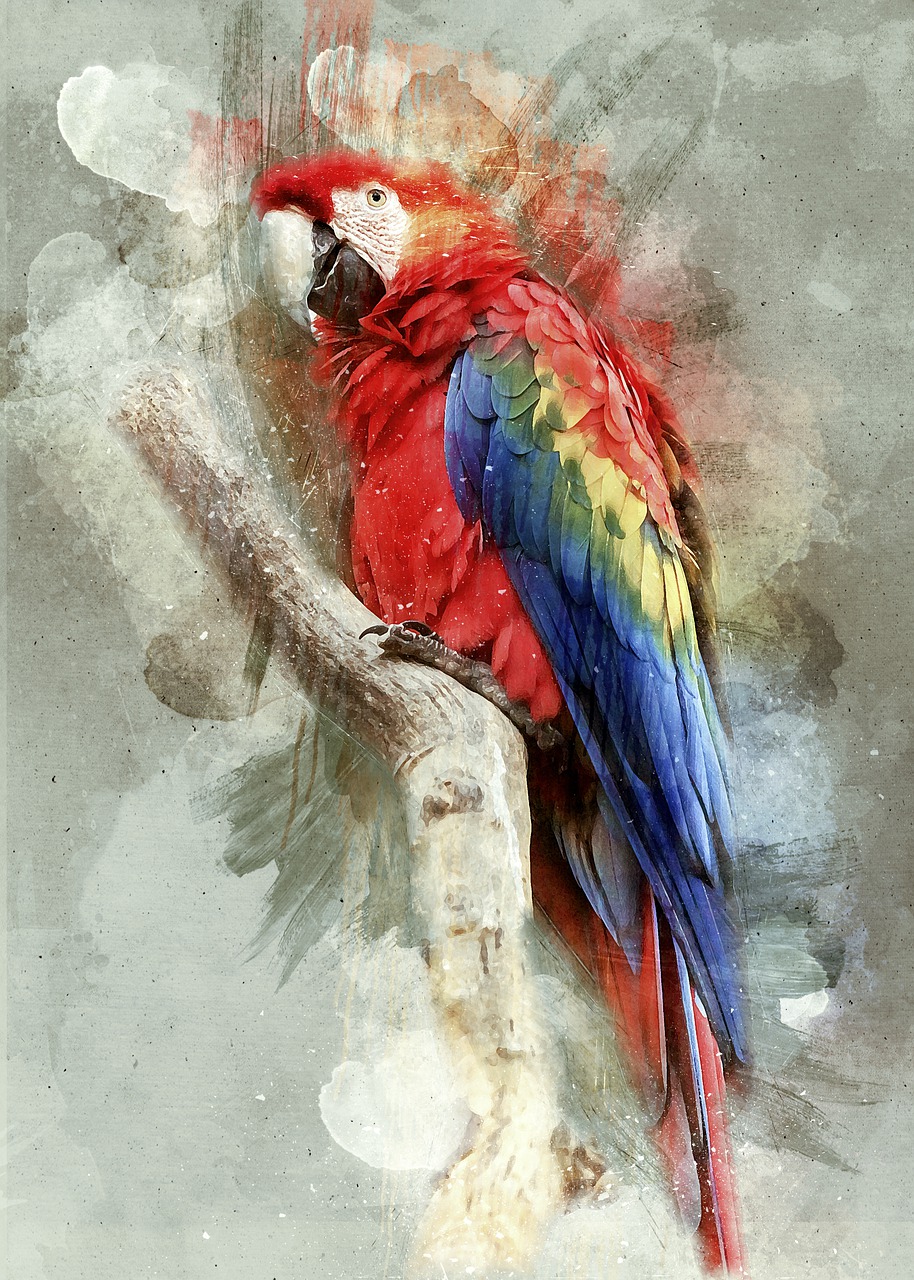 Detail Burung Scarlet Macaw Nomer 31
