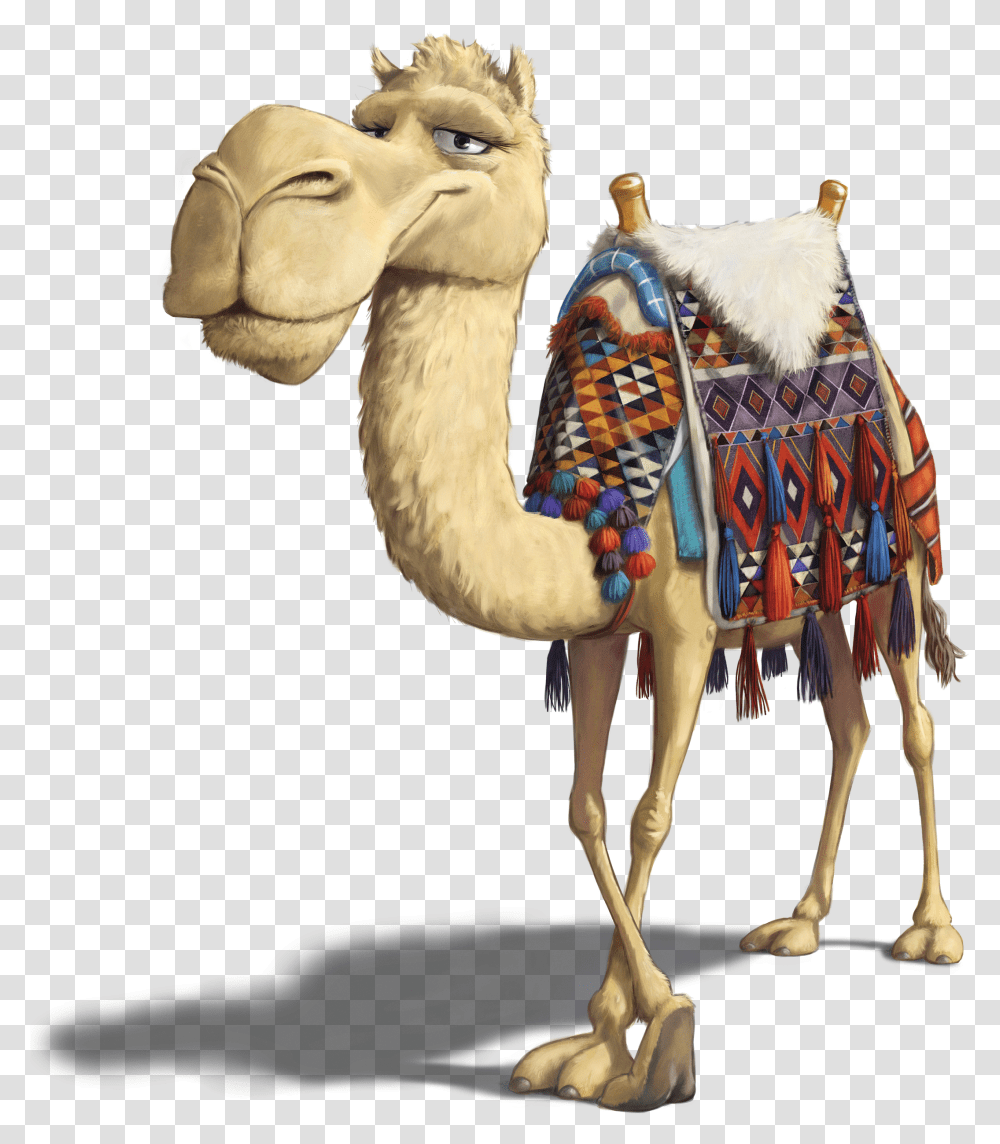 Detail Camel Transparent Nomer 48