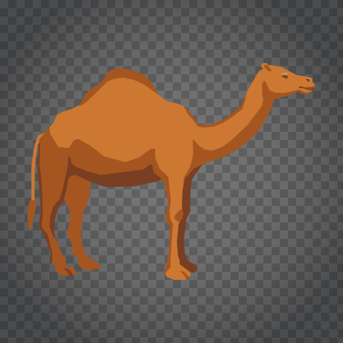 Detail Camel Transparent Nomer 49