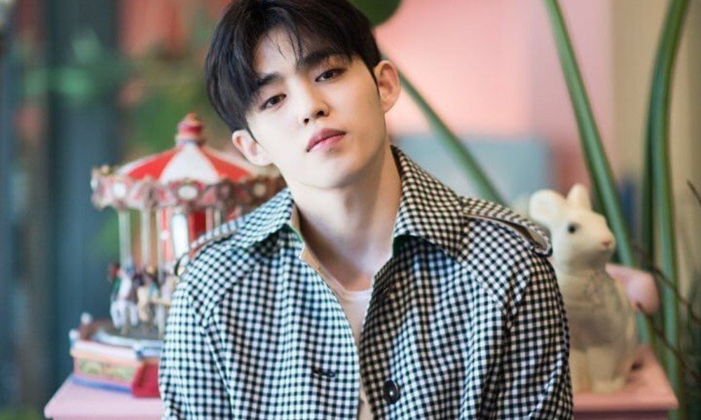 Detail Foto S Coups Seventeen Nomer 7