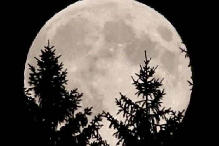 Detail Gambar Bulan Besar Nomer 2