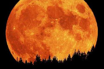Detail Gambar Bulan Besar Nomer 3