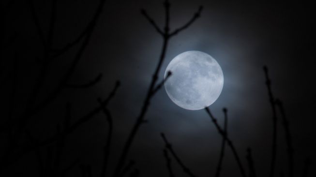 Detail Gambar Bulan Besar Nomer 31