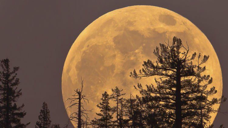 Detail Gambar Bulan Besar Nomer 8