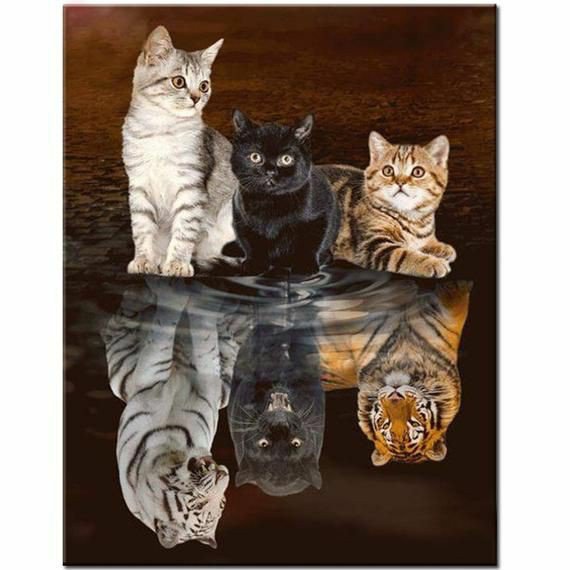 Detail Gambar Kucing Bercermin Jadi Harimau Nomer 31