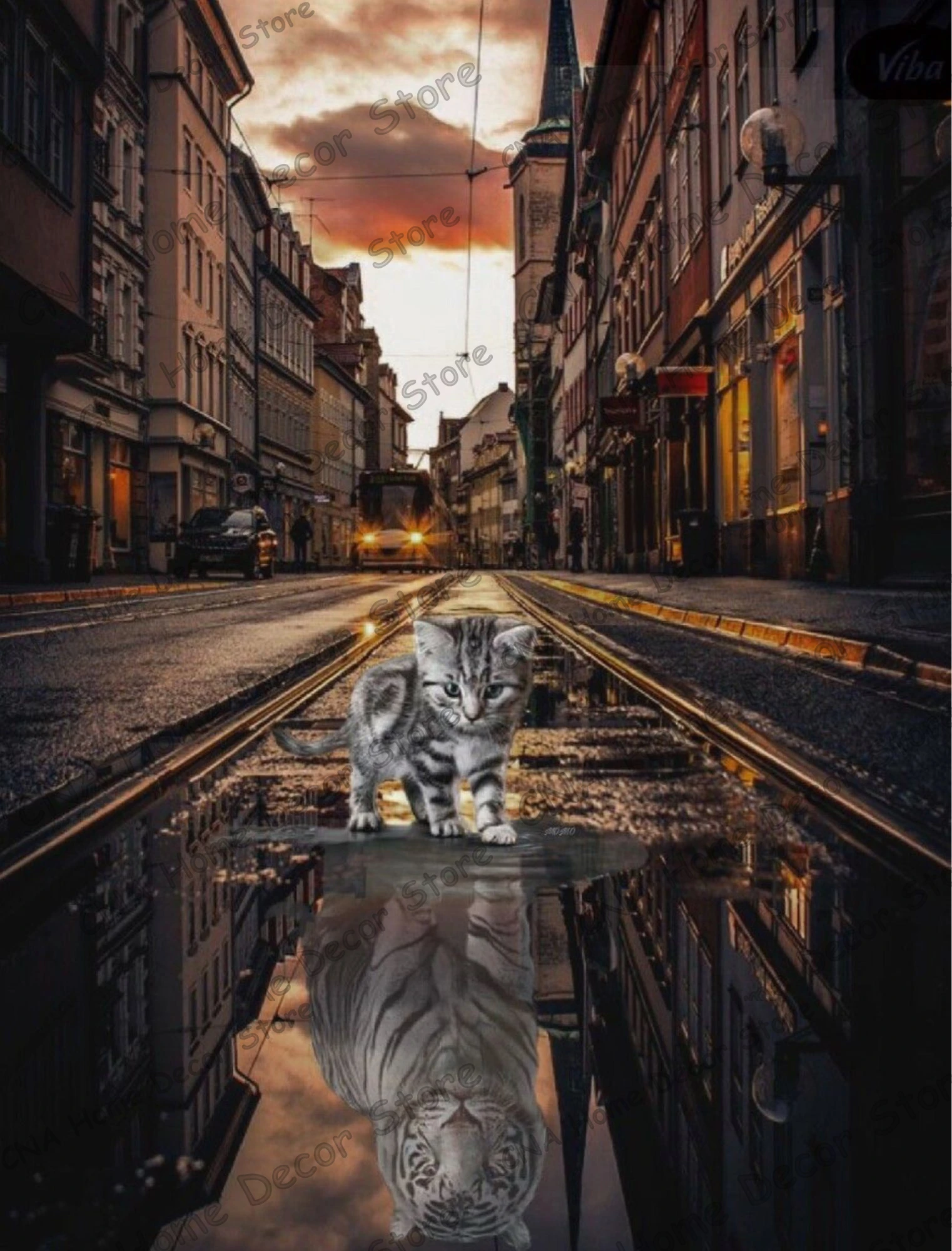 Detail Gambar Kucing Bercermin Jadi Harimau Nomer 5