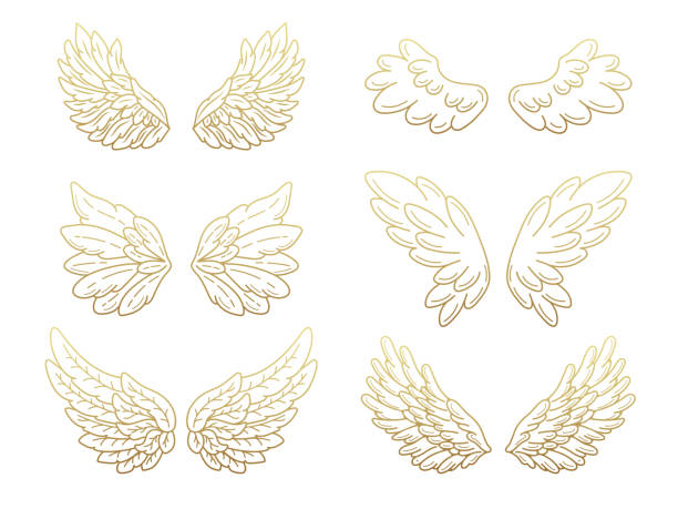 Detail Gold Angel Wings Clipart Nomer 13