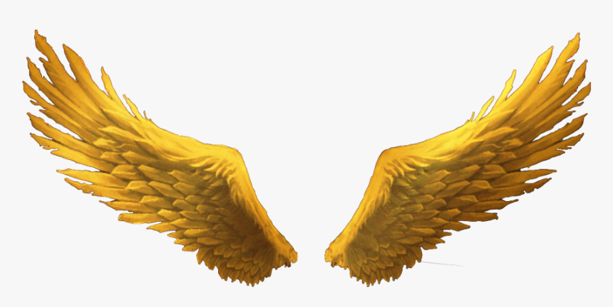Detail Gold Angel Wings Clipart Nomer 16