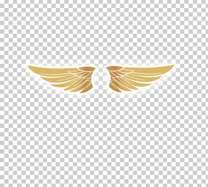 Detail Gold Angel Wings Clipart Nomer 24