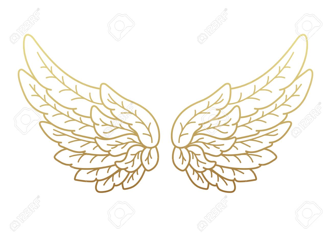 Detail Gold Angel Wings Clipart Nomer 37