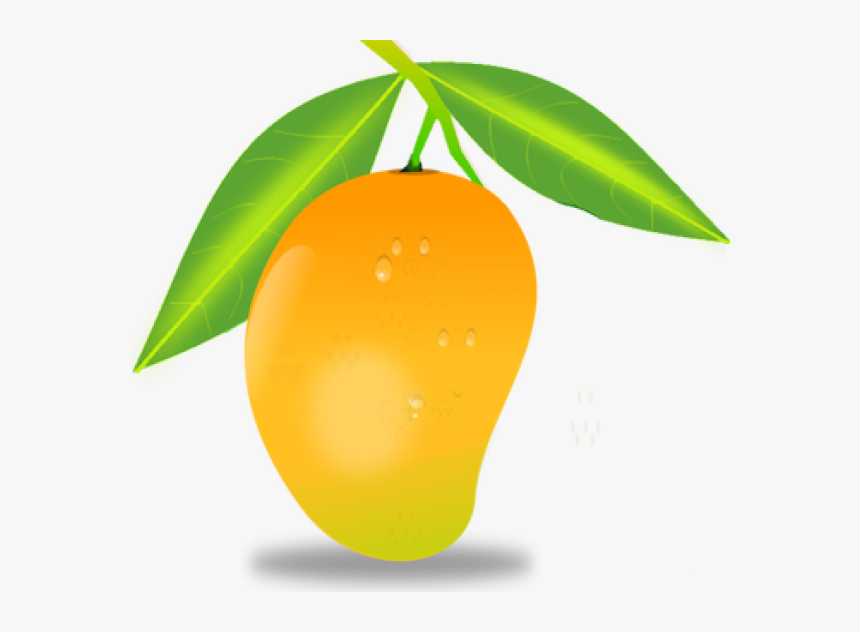 Detail Mango Download Nomer 3