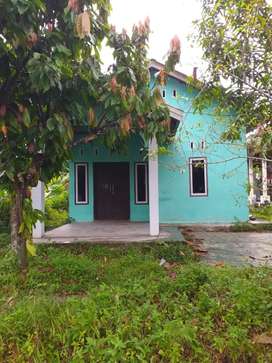 Detail Olx Rumah Jambi Nomer 16