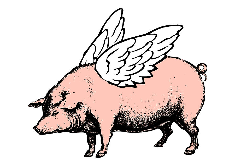 Detail Pig With Wings Clipart Nomer 32