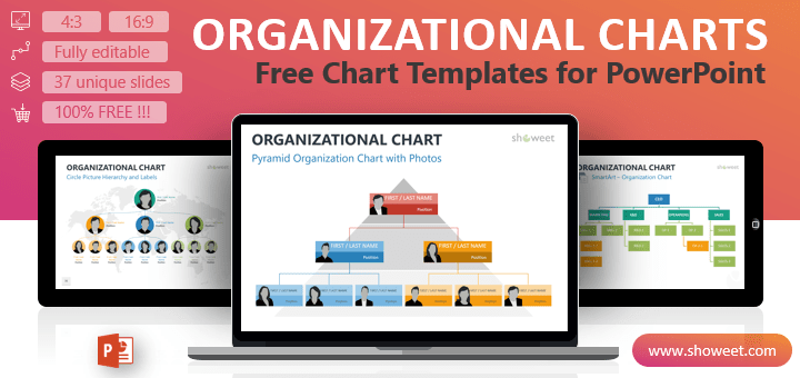 Detail Ppt Hierarchy Template Nomer 22