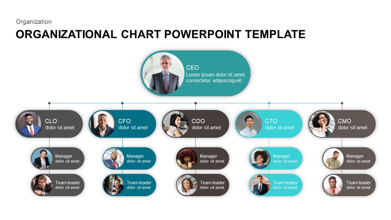 Detail Ppt Hierarchy Template Nomer 24