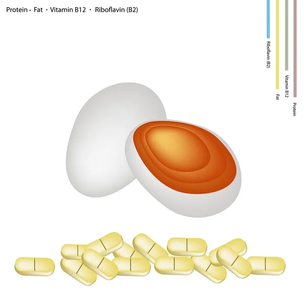 Detail Telur Asin Vector Nomer 8