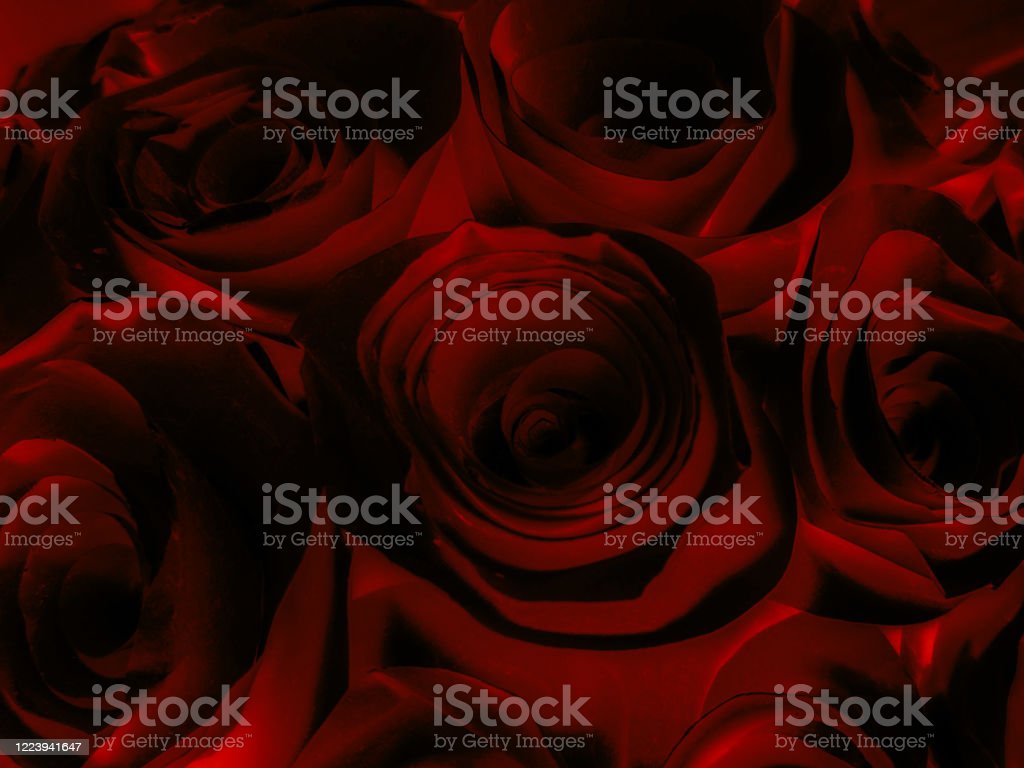 Detail Wallpaper Bunga Hitam Merah Nomer 14