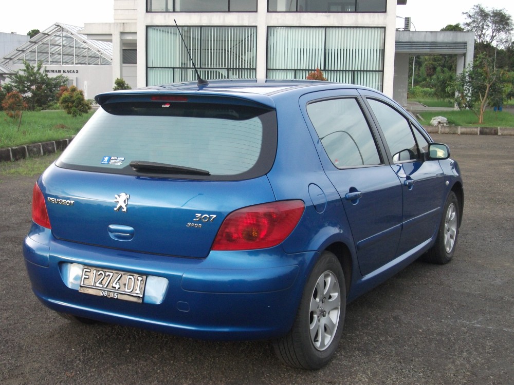 Detail Kelemahan Peugeot 206 Nomer 43