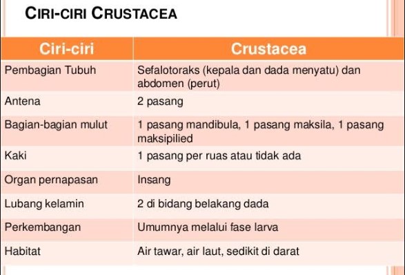 Detail Kelompok Hewan Crustacea Nomer 24