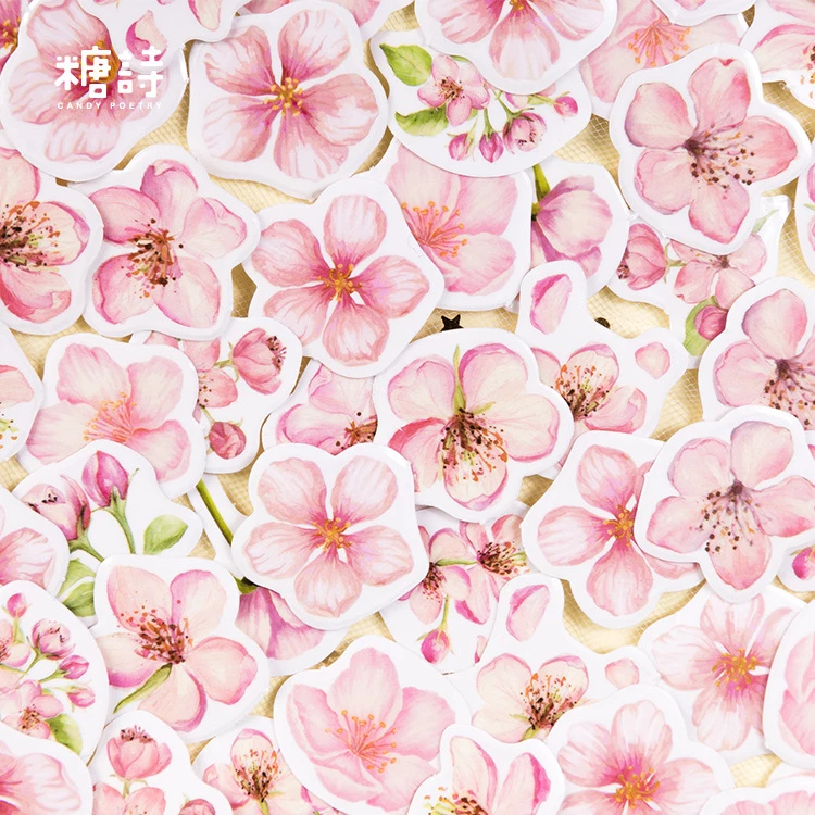 Detail Kelopak Bunga Sakura Nomer 53