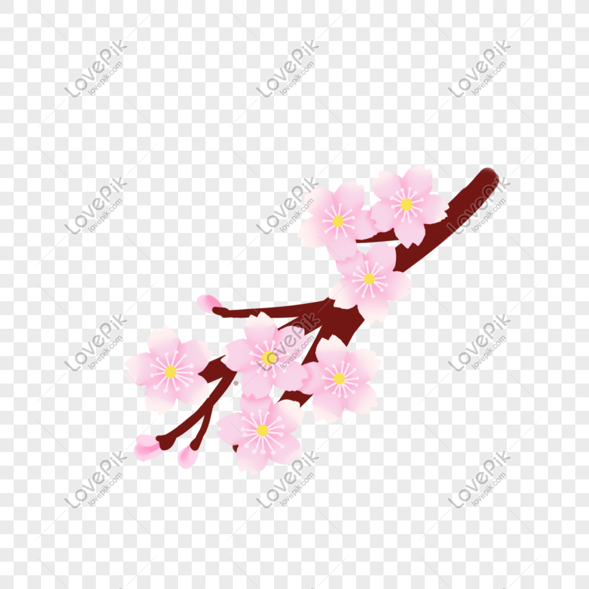 Detail Kelopak Bunga Sakura Png Nomer 35