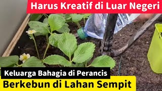 Detail Keluarga Bahagia Di Perancis Nomer 36