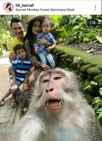 Detail Keluarga Monyet Lucu Nomer 9
