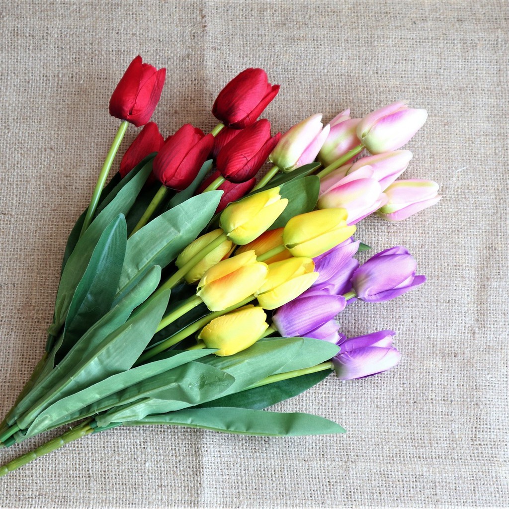 Detail Kembang Tulip Nomer 11