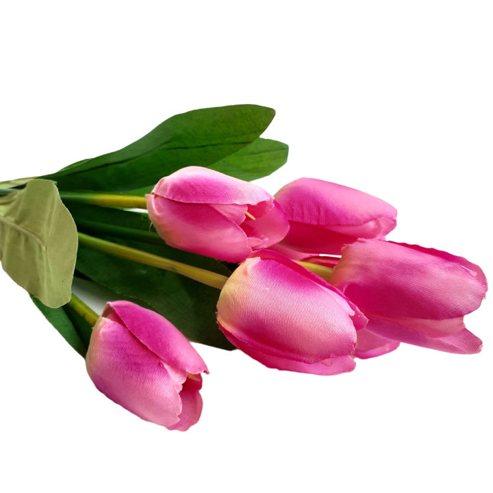 Detail Kembang Tulip Nomer 17
