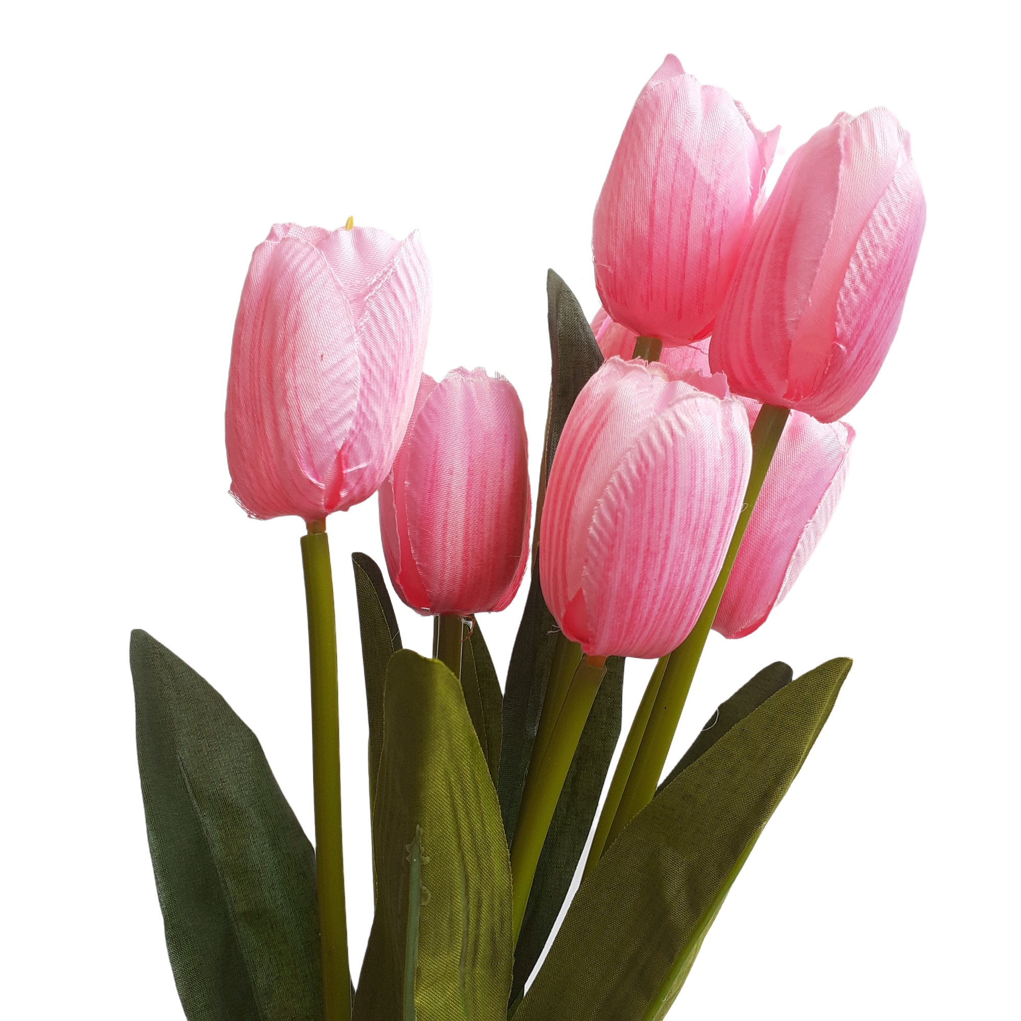 Detail Kembang Tulip Nomer 52