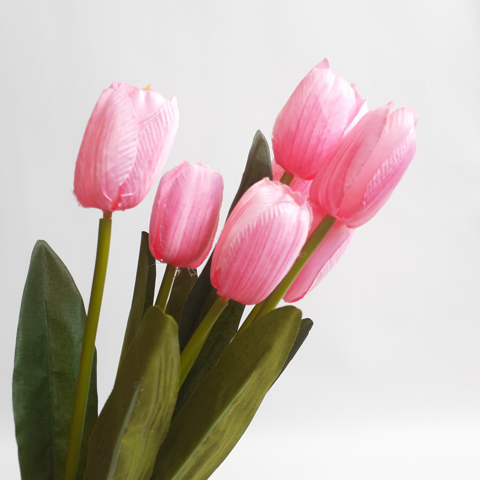 Detail Kembang Tulip Nomer 55