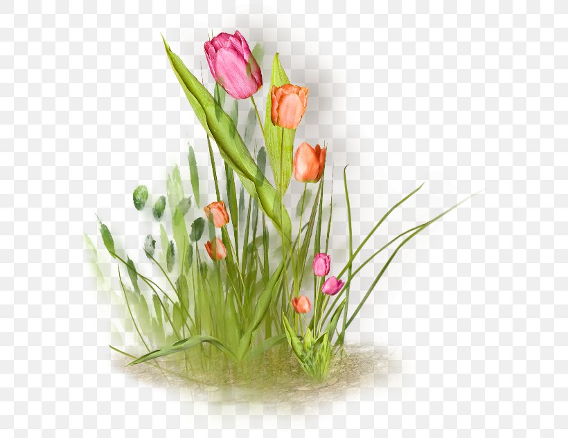 Detail Kembang Tulip Nomer 56