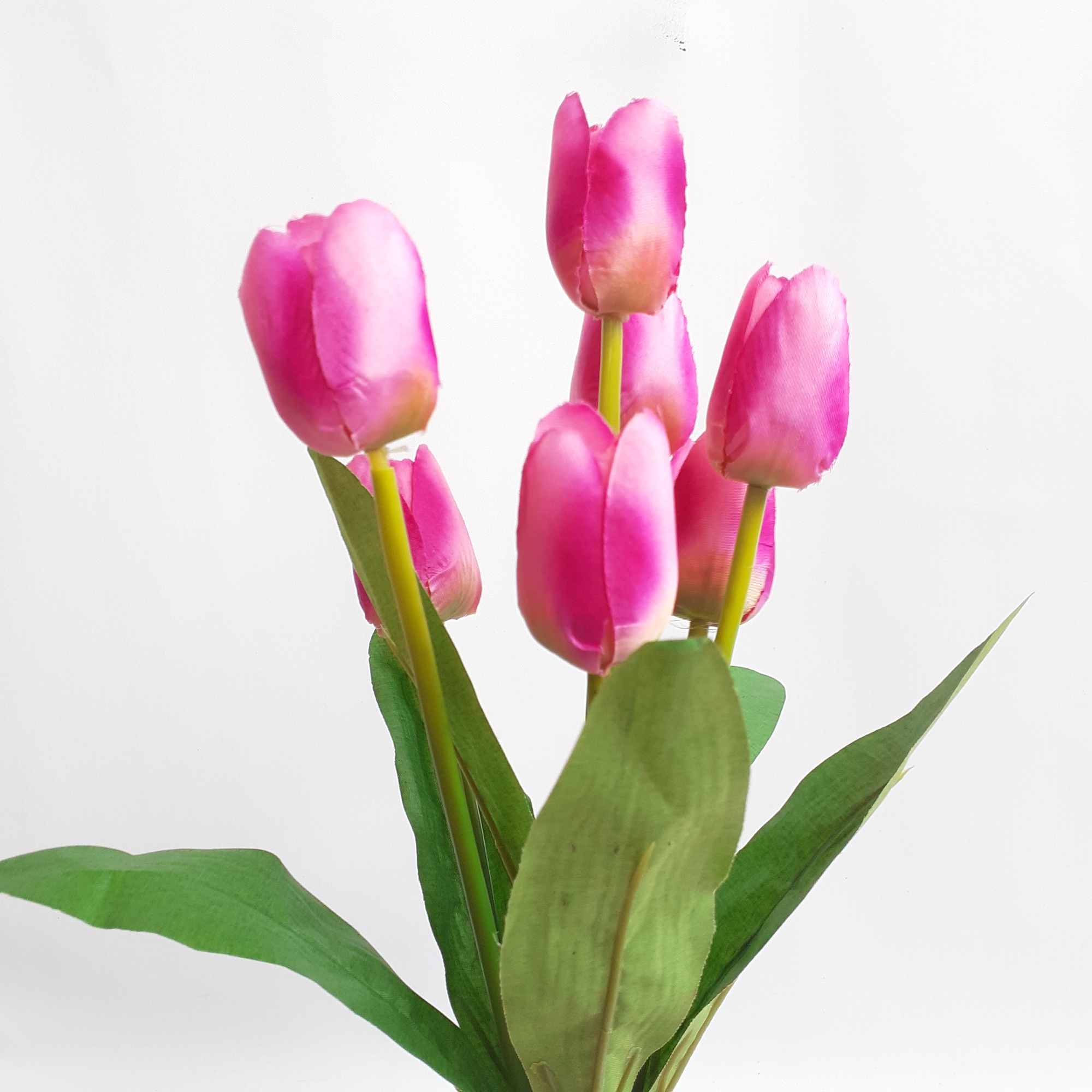 Detail Kembang Tulip Nomer 8