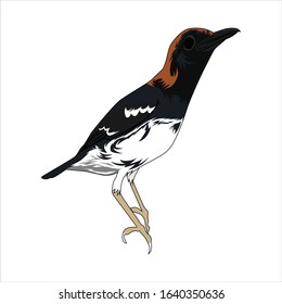 Detail Kembang Vector Nomer 24