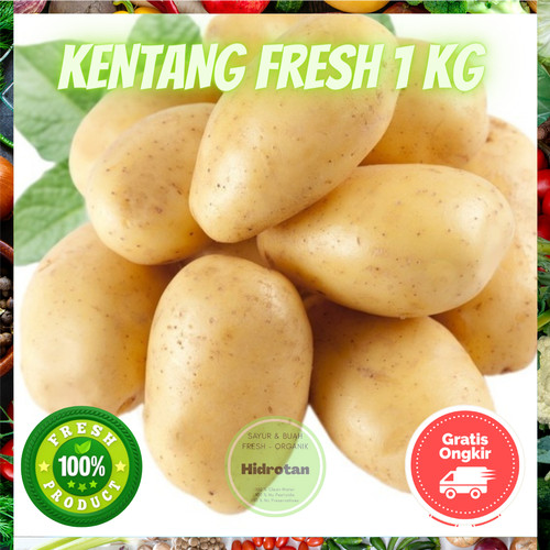 Detail Kentang Sayur Atau Buah Nomer 28