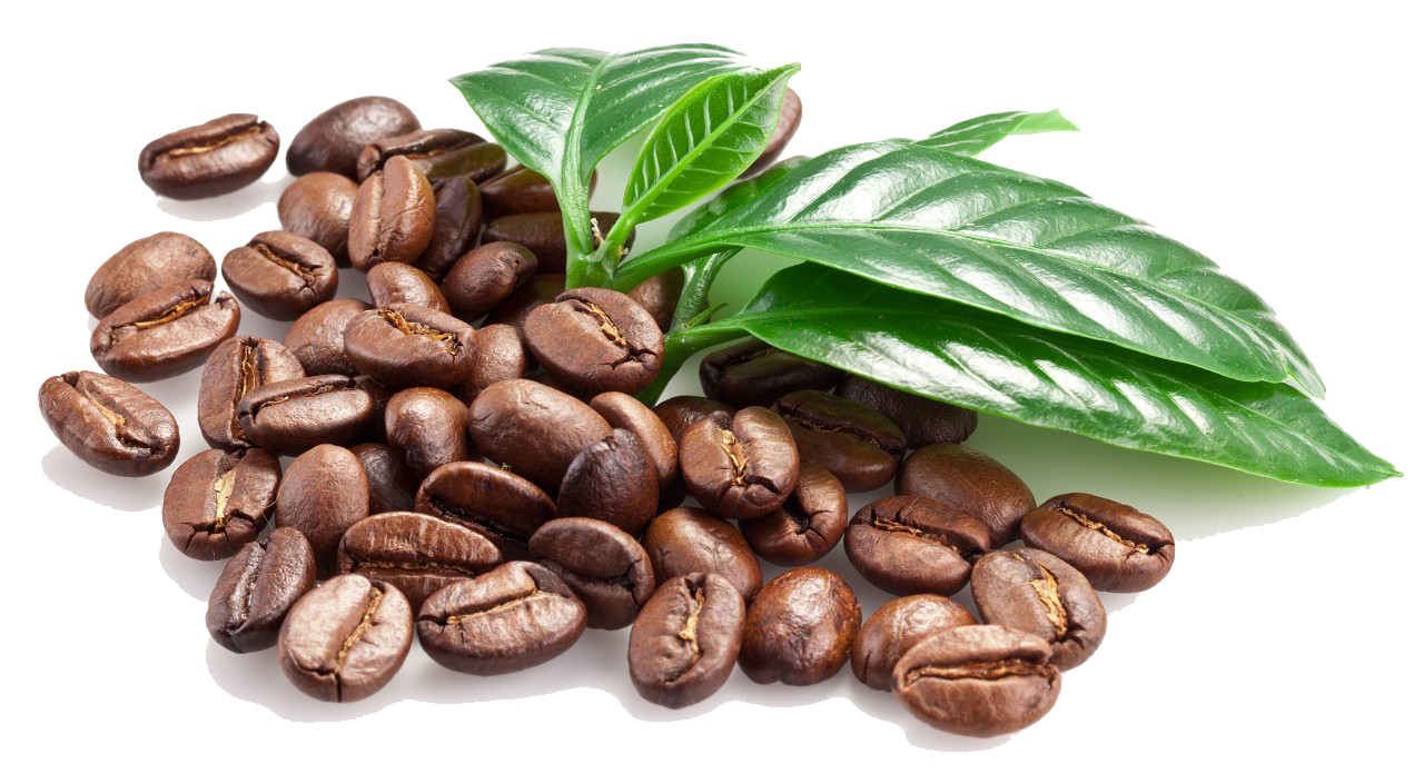 Detail Coffee Images Png Nomer 41