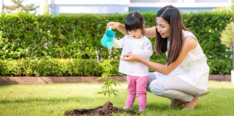 Detail Gambar Anak Menyiram Tanaman Nomer 17