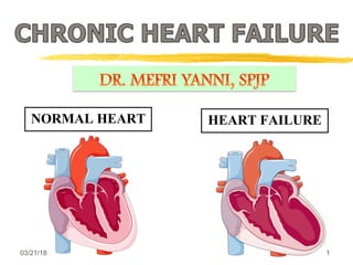 Detail Gambar Kardiovaskuler Normal Anatomi Af The Heart Nomer 27