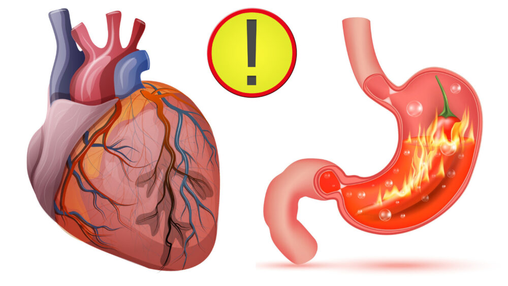 Detail Gambar Kardiovaskuler Normal Anatomi Af The Heart Nomer 38