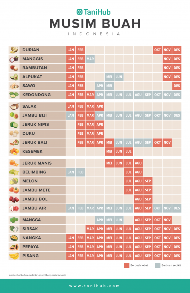 Detail Gambar Musim Buah Nomer 2