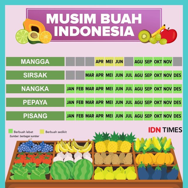 Detail Gambar Musim Buah Nomer 13