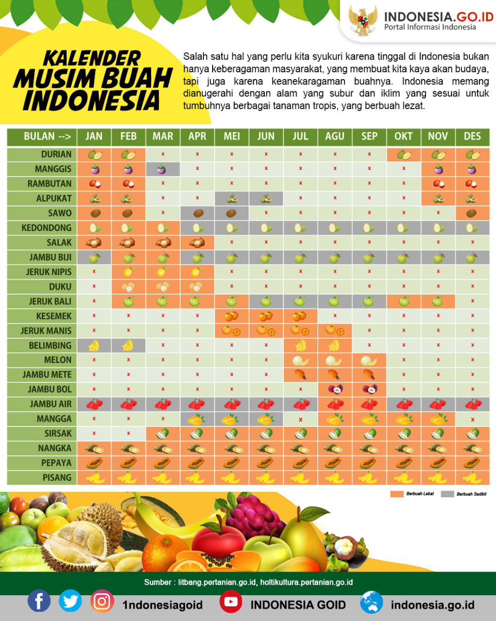 Detail Gambar Musim Buah Nomer 3