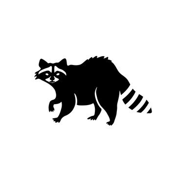 Raccoon Silhouette Vector - KibrisPDR