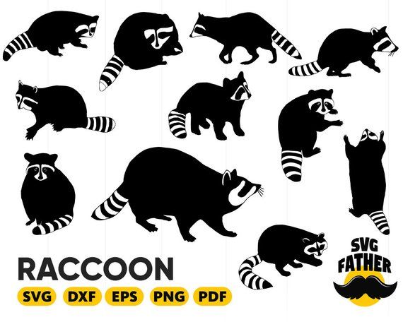 Detail Raccoon Silhouette Vector Nomer 20