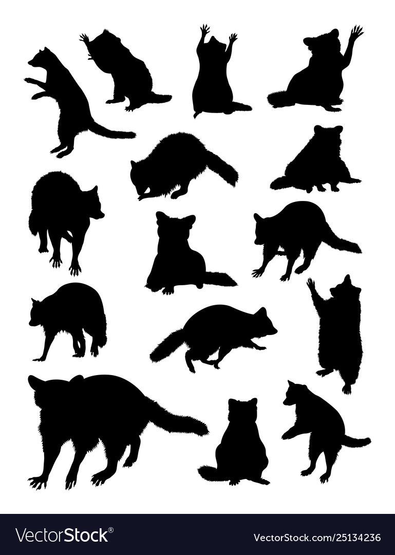 Detail Raccoon Silhouette Vector Nomer 3