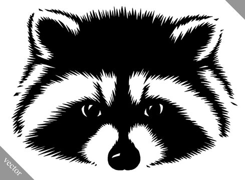 Detail Raccoon Silhouette Vector Nomer 23
