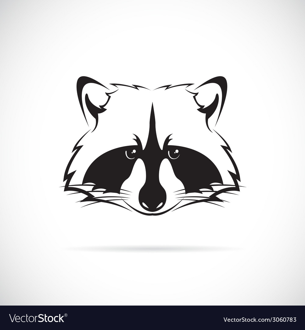 Detail Raccoon Silhouette Vector Nomer 34